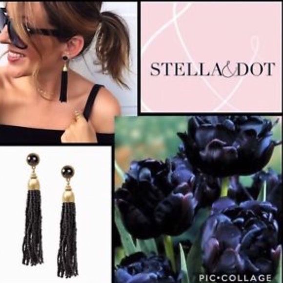 ::⚜️🌚Gorgeous Hand Beaded Black Tassel Earrings - Picture 9 of 12